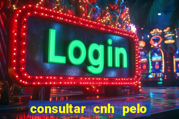 consultar cnh pelo cpf sp